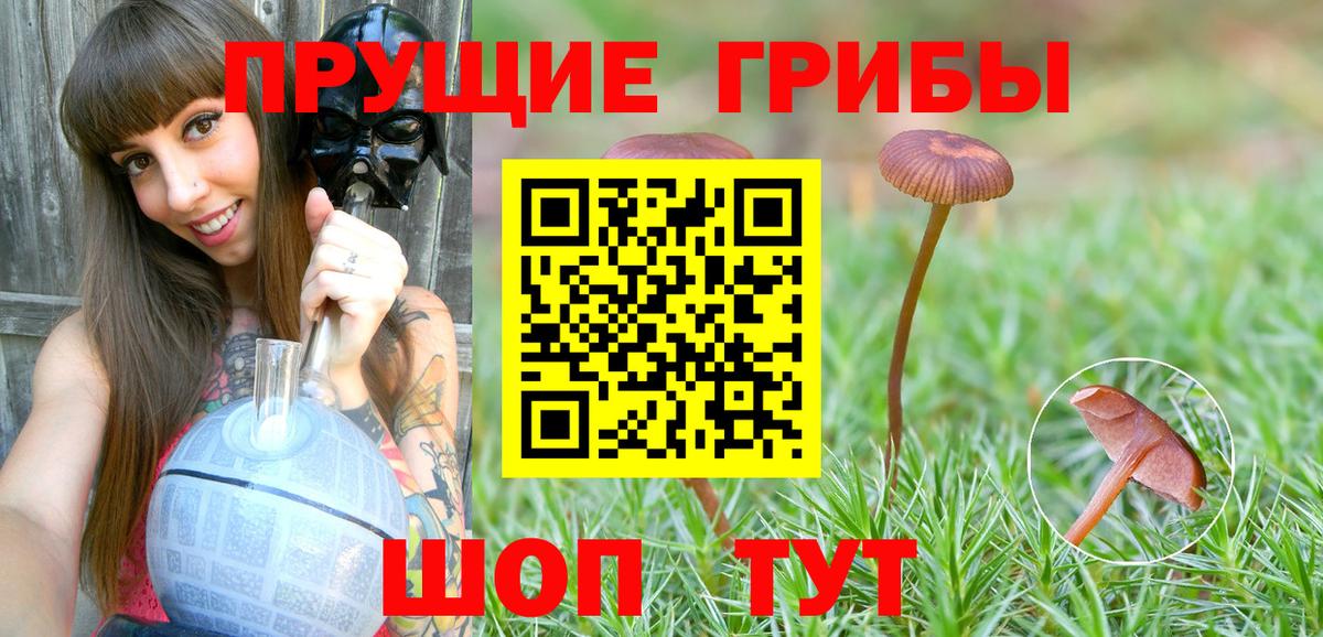Псилоцибиновые грибы Magic Shrooms  дарнет шоп  Глазов  Вход с VPN 