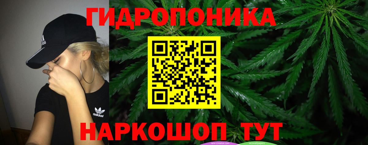 Бошки марихуана Bruce Banner  Каннабис Bruce Banner  Глазов  Шишки марихуана семена  Каннабис план  Вход с VPN 